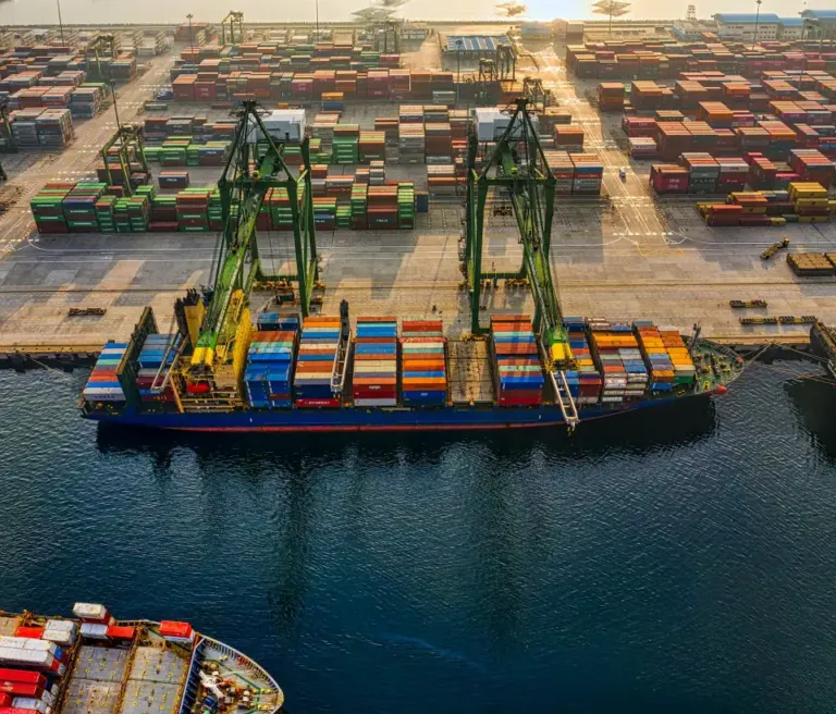 Un portacontenedores junto a grúas pórtico en una terminal de contenedores, visto desde el aire